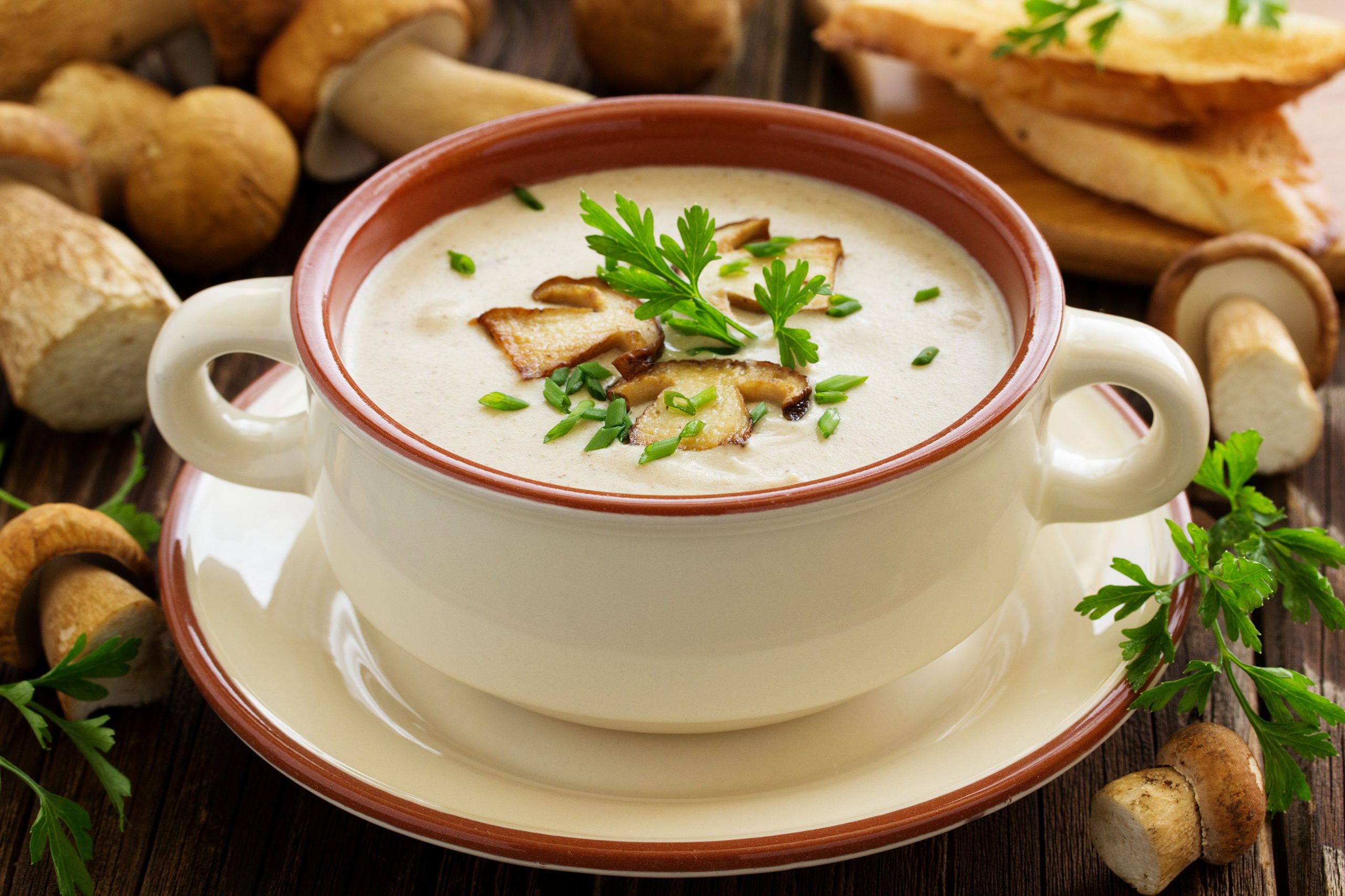 Суп с грибами. Грибной суп «по-ленинградски». Грибной суп-пюре из шампиньонов. Грибной крем суп. Крем-суп из шампиньонов Шоколадница.